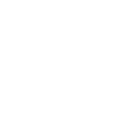 IPDJ